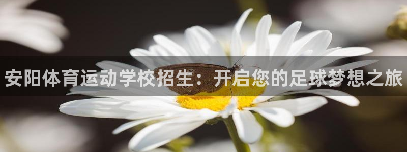 米兰体育官方正版app开户：安阳体育运动学校招生：开