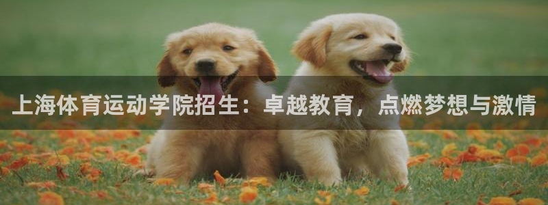 米兰体育官方集团官网：上海体育运动学院招生：卓越教育