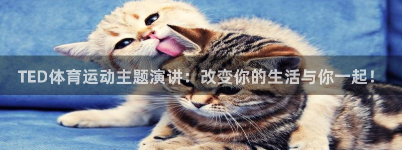 米兰体育官方正版app集团官网首页：TED体育运动主