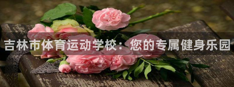 米兰体育官网下载平台注册要钱吗安全吗：吉林市体育运动
