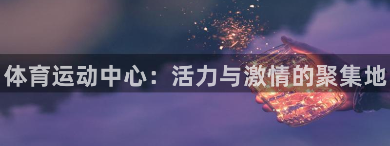 米兰体育官方正版app娱乐代理怎么样：体育运动中心：