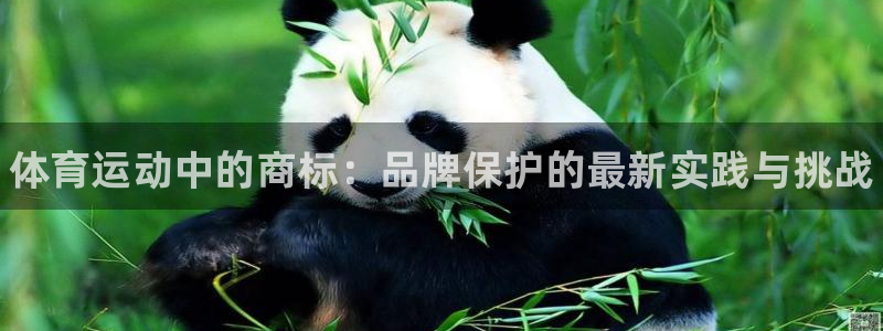 米兰体育官网下载招商电话是多少号码：体育运动中的商标