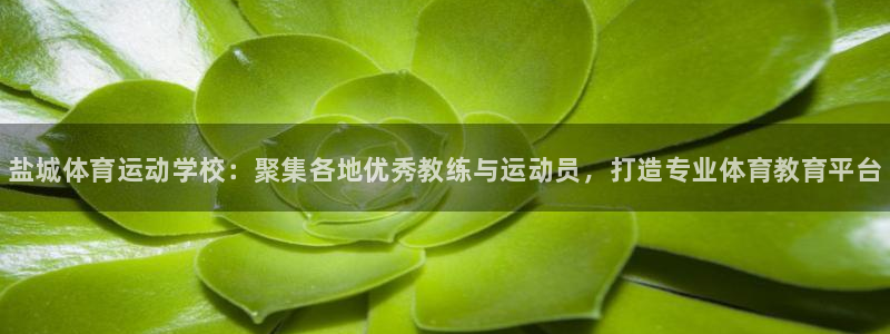 米兰体育官网下载招商电话号码是多少啊：盐城体育运动学校：聚集
