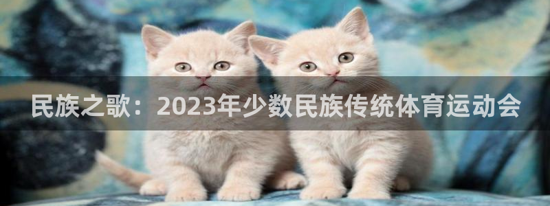 米兰体育官网下载：民族之歌：2023年少数民族传统体育运动会
