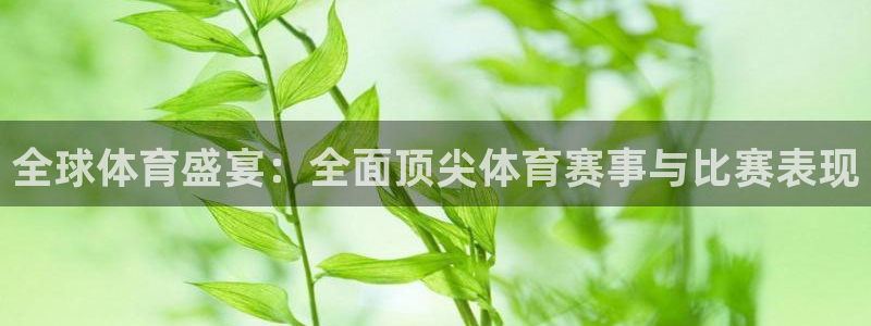 米兰体育官方正版app代理：全球体育盛宴：全面顶尖体育赛事与