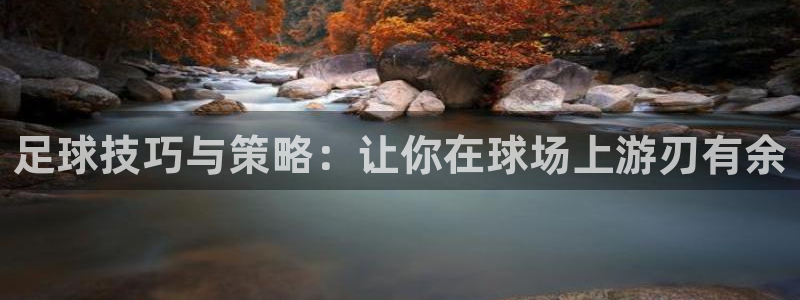 米兰体育官方正版app娱乐是那个系列的台子：足球技巧与策略：