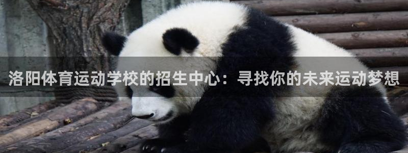 米兰体育官方正版app娱乐平台：洛阳体育运动学校的招生中心：