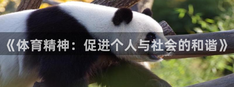 米兰体育官方正版app代理