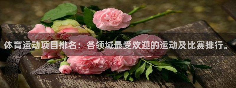 米兰体育官方正版app开户：体育运动项目排名：各领域最受欢迎