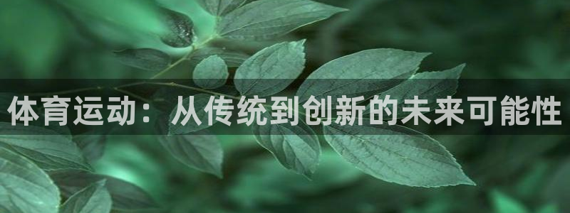 米兰体育官网下载：体育运动：从传统到创新的未来可能性