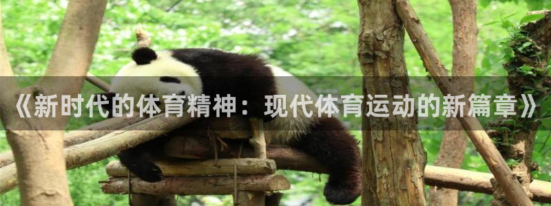 米兰体育官方平台体育：《新时代的体育精神：现代体育运