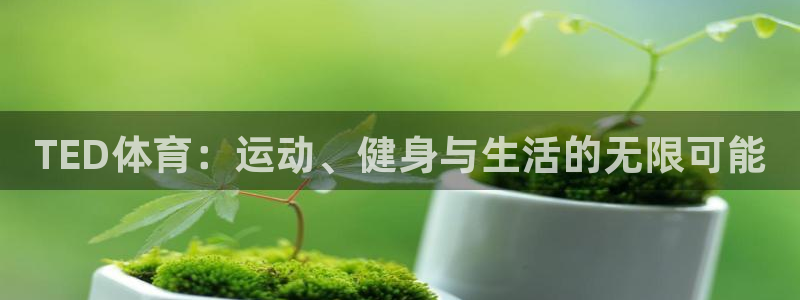 米兰体育官方正版app娱乐网站：TED体育：运动、健身与生活