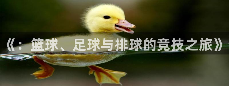 米兰体育官方正版app官网