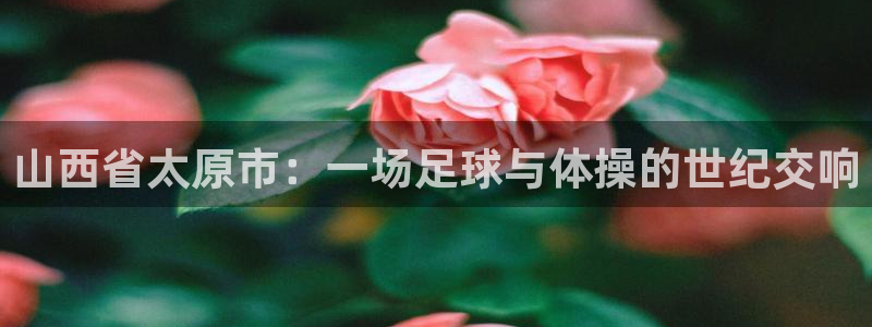 米兰体育官方正版app五金厂：山西省太原市：一场足球与体操的
