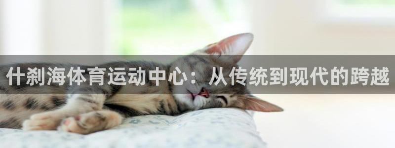 米兰体育官网下载招商电话地址
