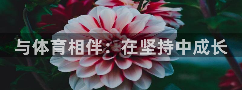 米兰体育官方正版app代理：与体育相伴：在坚持中成长