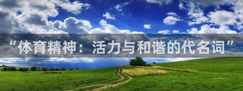 米兰体育官网下载平台是正规平台吗安全吗：“体育精神：活力与和