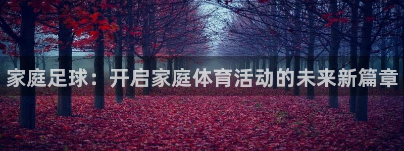 米兰体育官方正版app娱乐：家庭足球：开启家庭体育活