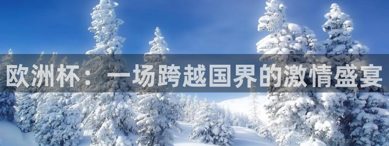 球友直播官网：欧洲杯：一场跨越国界的激情盛宴