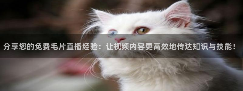 球友体育在线直播：分享您的免费毛片直播经验：让视频内容更高效地传达知识与技能！