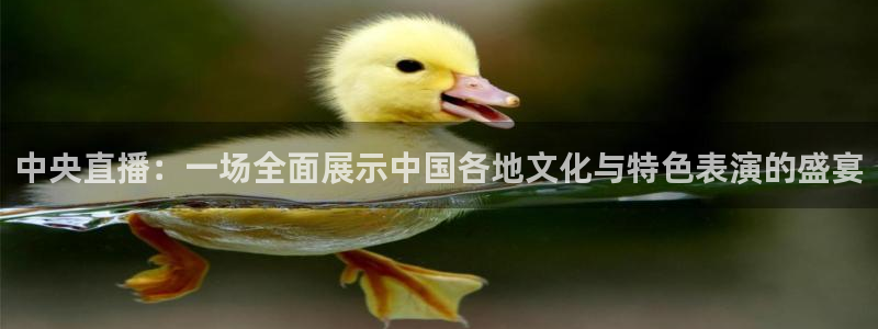 球友直播：中央直播：一场全面展示中国各地文化与特色表演的盛宴