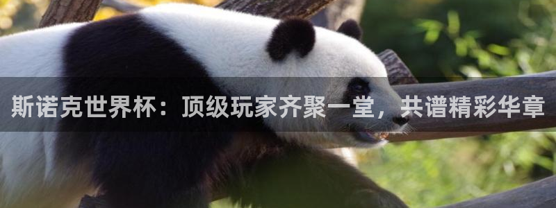 球友会直播：斯诺克世界杯：顶级玩家齐聚一堂，共谱精彩华章