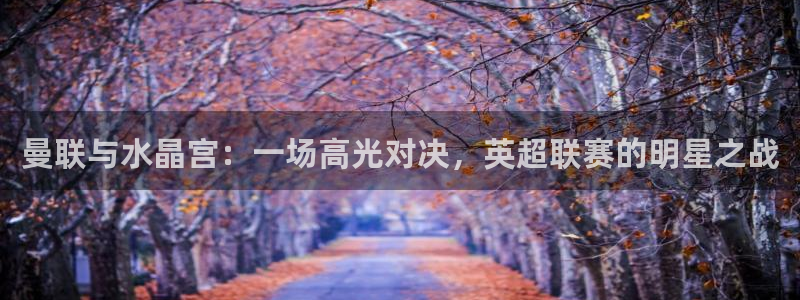 球友直播nba：曼联与水晶宫：一场高光对决，英超联赛的明星之战