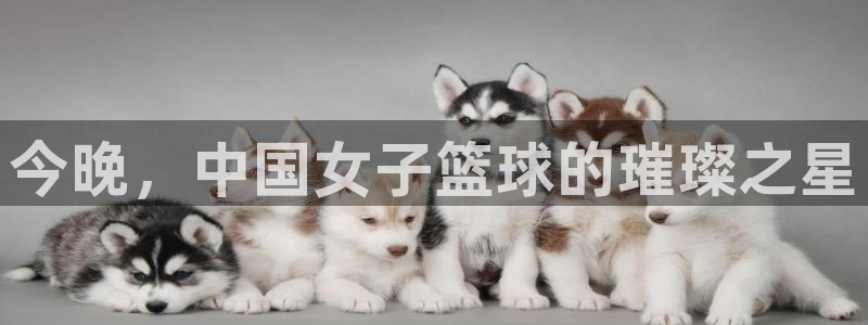 球友体育：今晚，中国女子篮球的璀璨之星