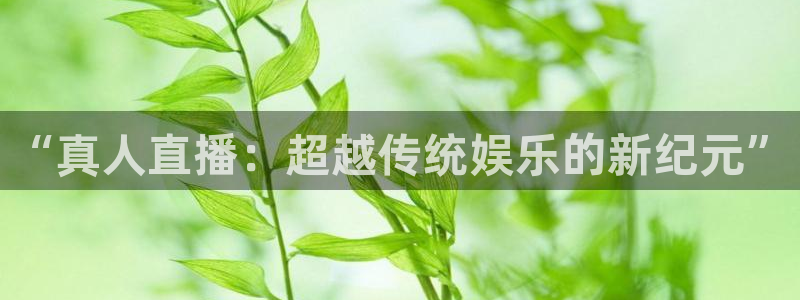 qy球友会体育网站：“真人直播：超越传统娱乐的新纪元”
