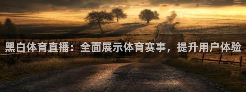 球友直播nba：黑白体育直播：全面展示体育赛事，提升用户体验