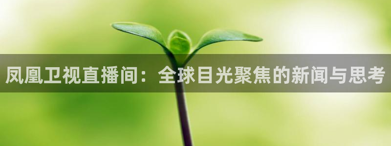 球友体育下载：凤凰卫视直播间：全球目光聚焦的新闻与思考