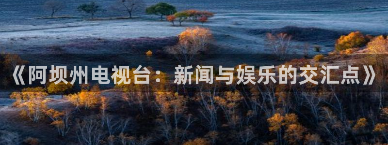 qy球友会体育网址：《阿坝州电视台：新闻与娱乐的交汇点》